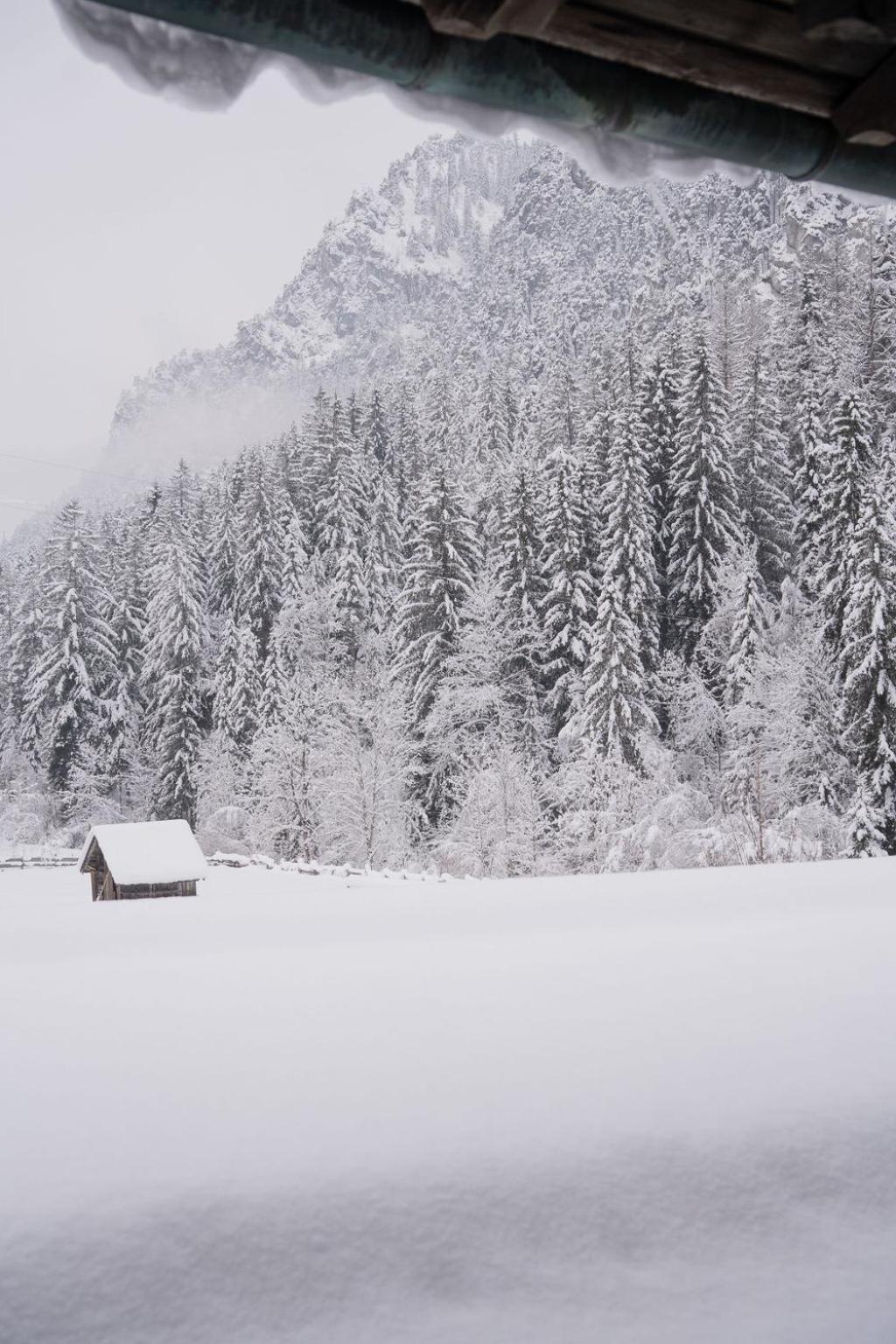 Fruehstueckspension Auer - Haus Kargl Schladming Esterno foto